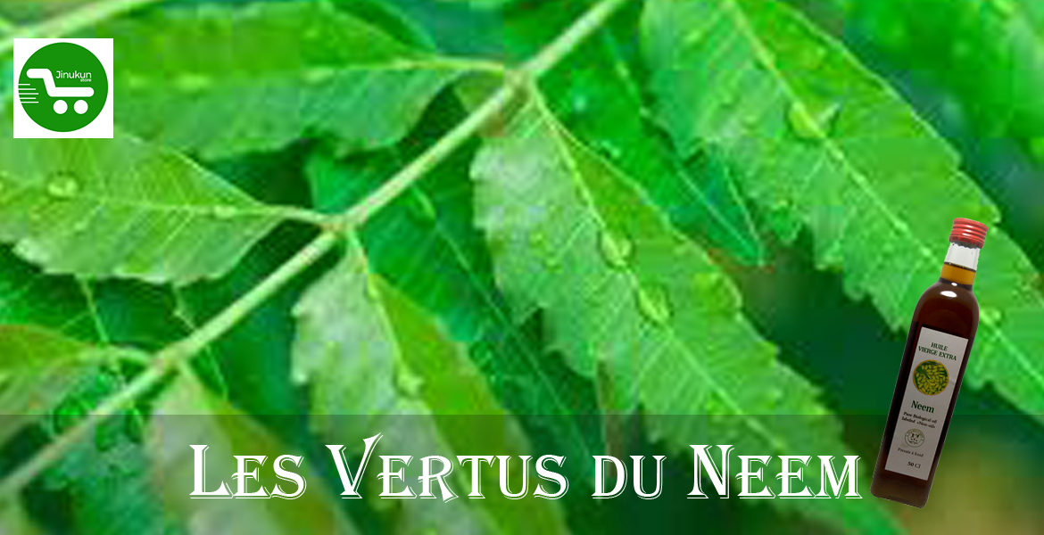 Les vertus de l’huile de neem