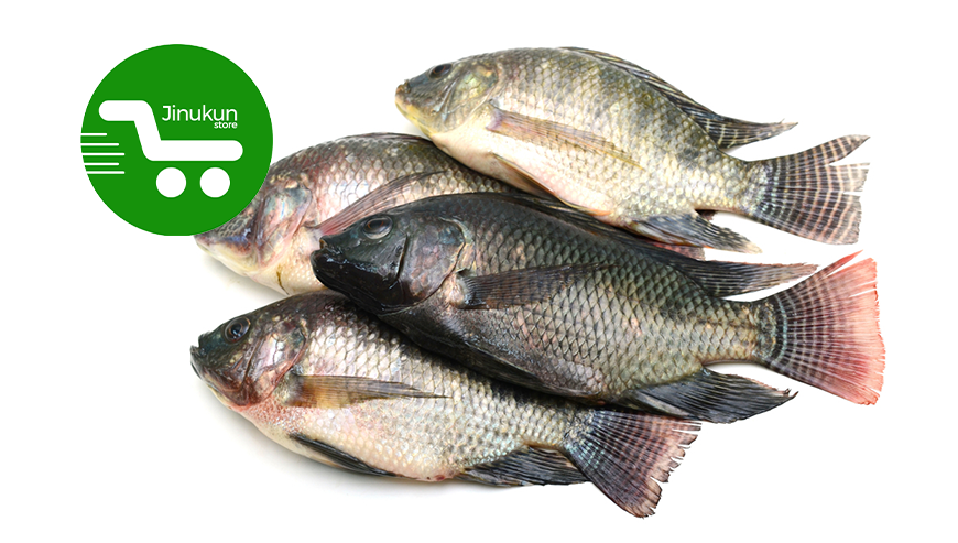 inukun store Tilapia Adjara